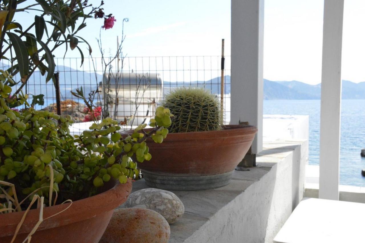 Willa Thalassophile Eco House Plaka  Zewnętrze zdjęcie